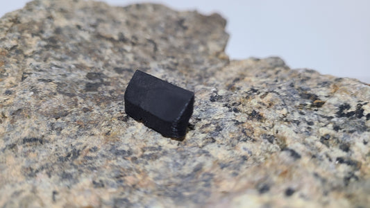 Flow Skid Fits FMS FCX24