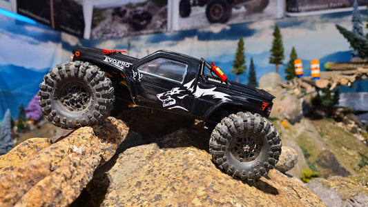 Flow Cage for Hobby Plus CR-18 Evo Pro body