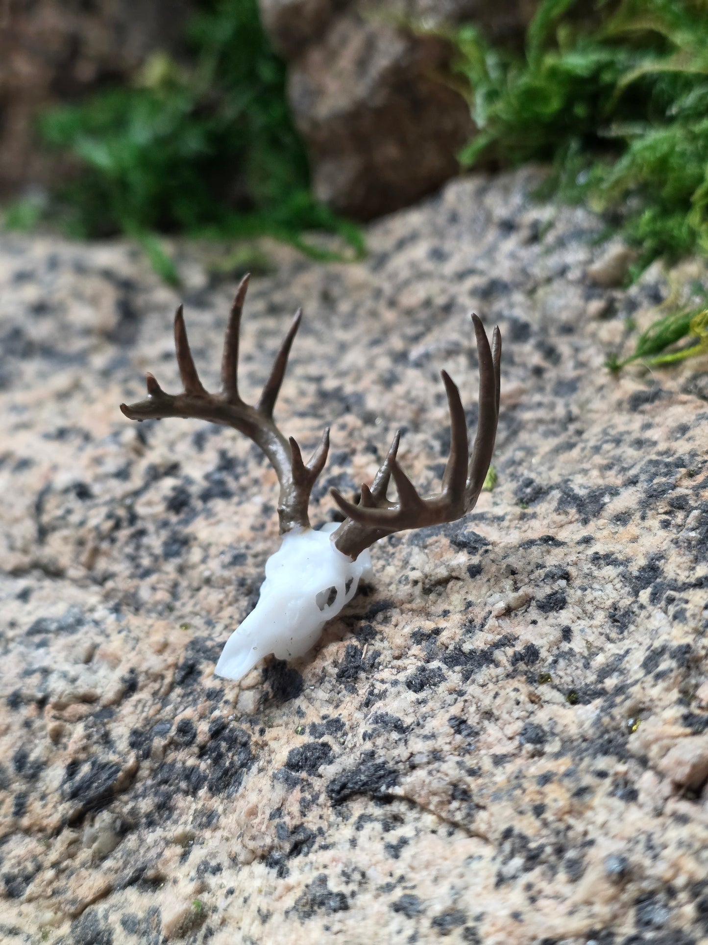 Flow 14 Point Buck Trophy - 24th scale