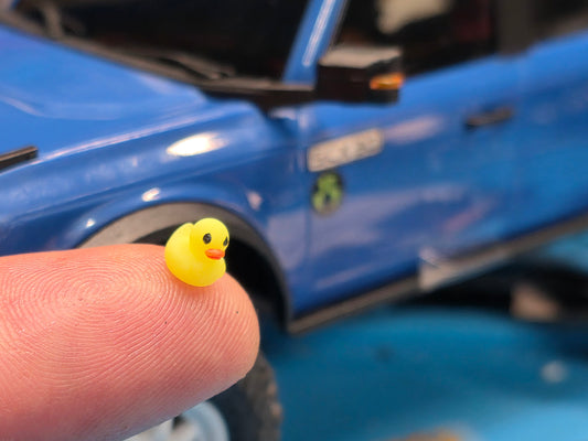 Scale Rubber Duck
